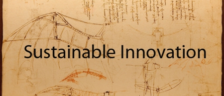 Sustainable Innovation