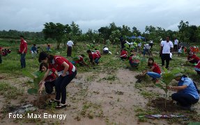 Max Energy is contributing to environmental programs such as tree planting.