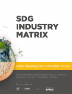 SDG Industry Matrix
