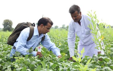 As part of the „Samruddhi“ project in India, BASF employees offer one-to-one advice to farmers