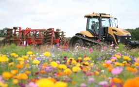 A harmonious balance between farming and biodiversity.
Photo: BASF