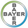 Bayer Group