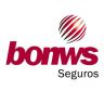 BONWS Seguros